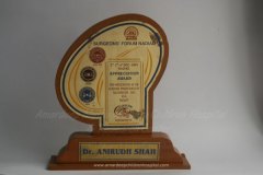 award-1