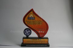 award-11