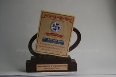 award-18