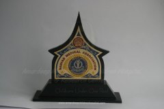 award-19